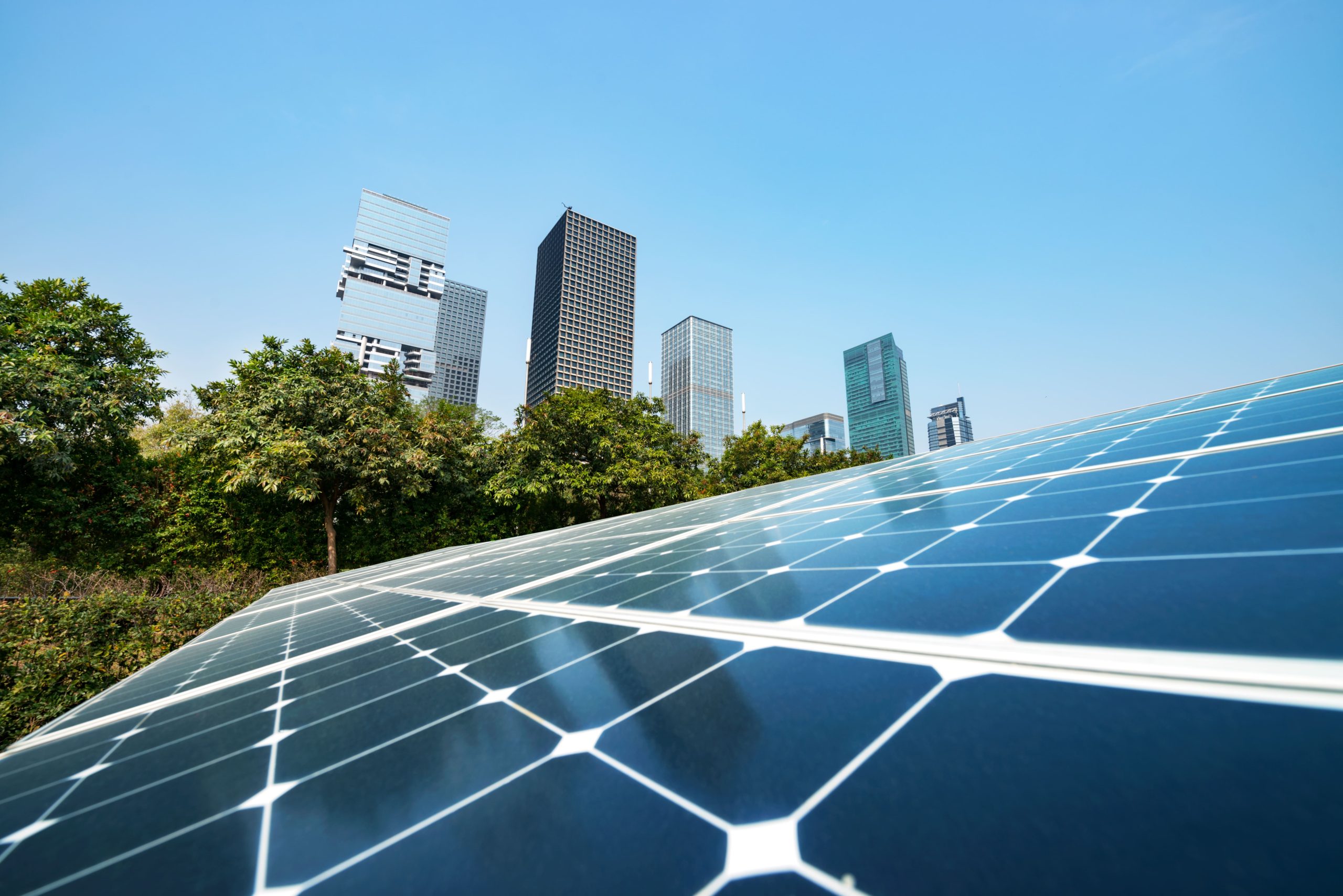 5 Reason Businesses Should Look into Going Solar